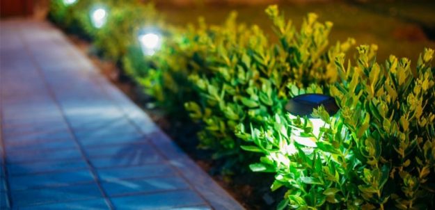 Garden-lighting garden with solar lights