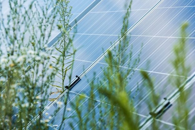 solar panels